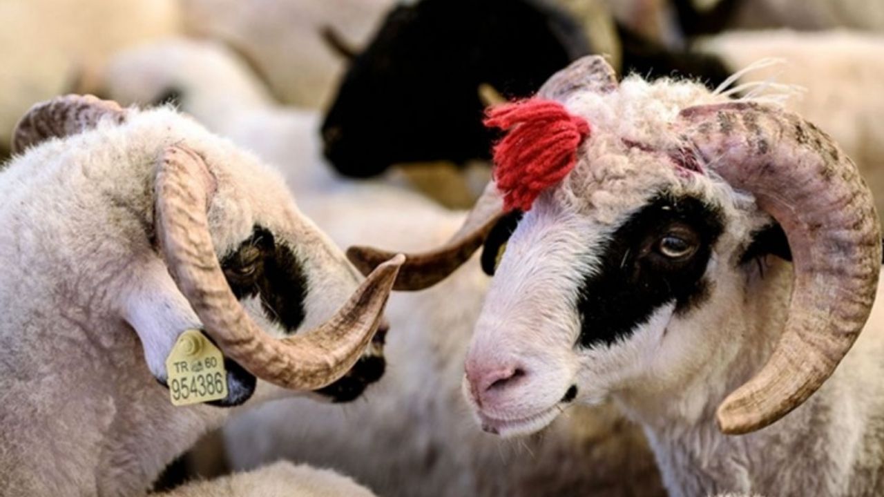 Kurban Bayramı 2021 hangi güne denk geliyor?