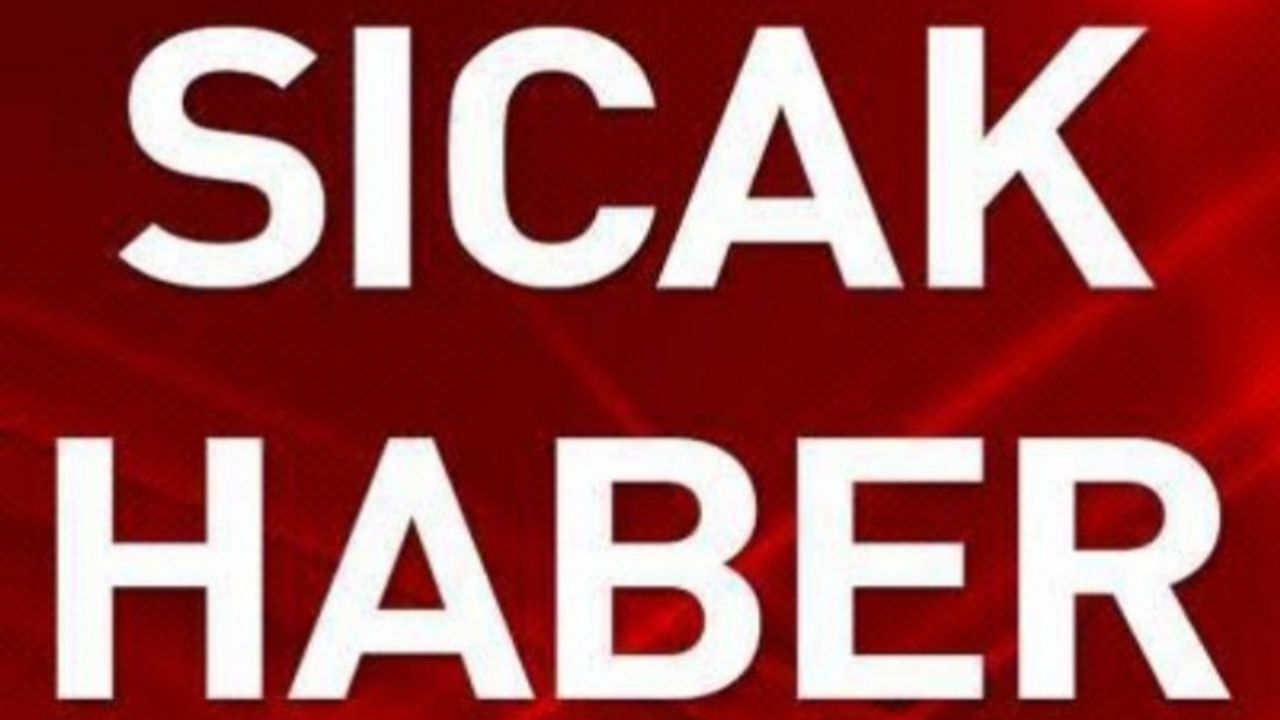 Çıkan orman yangınına havadan ve karadan müdahale ediliyor