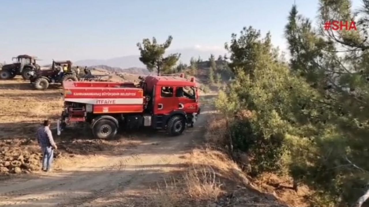 Bulutoğlu’ndaki orman yangını kontrol altına alındı