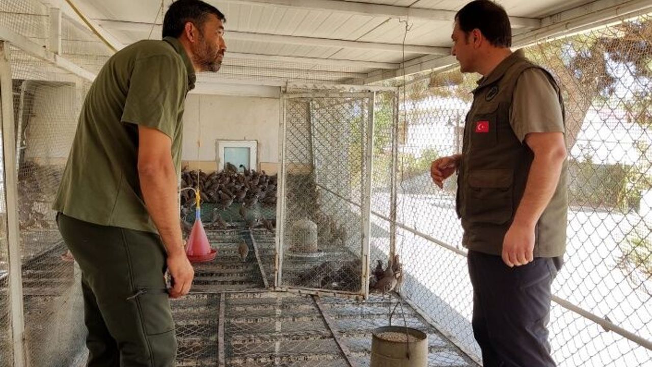 Depremden zarar gören keklik üretim istasyonu tekrar faaliyette