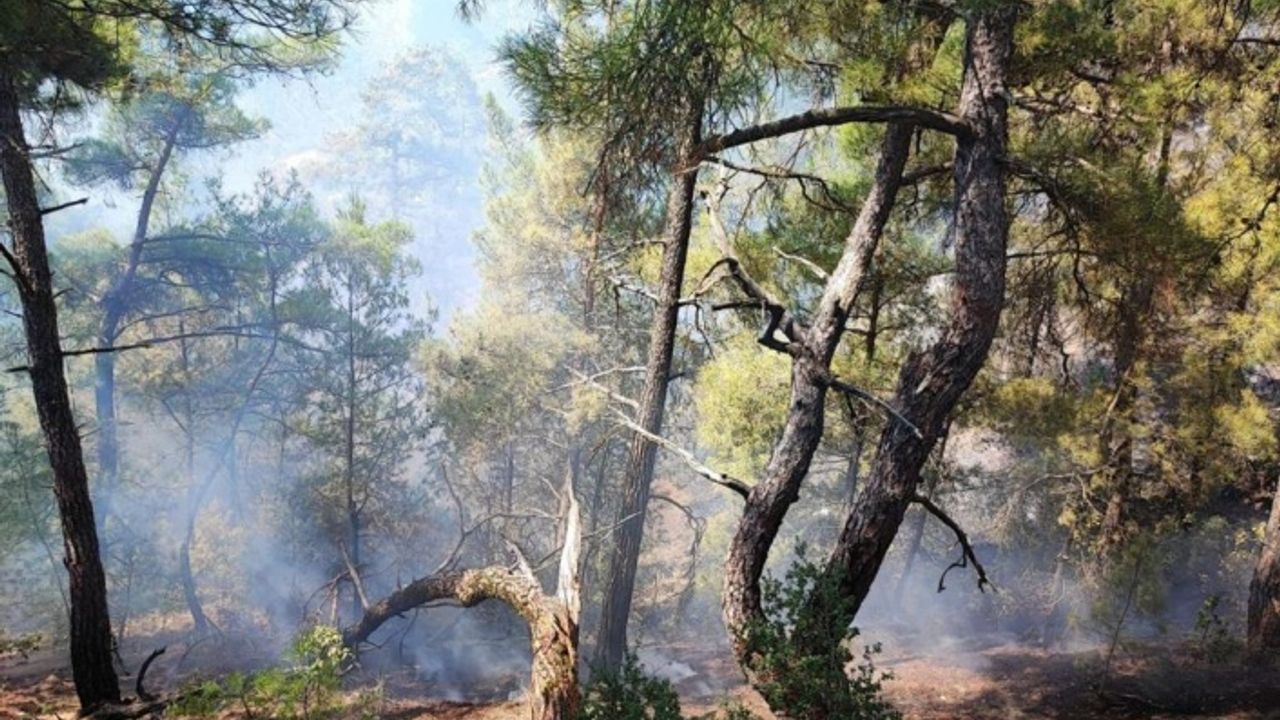 Dulkadiroğlu‘nda örtü yangını korkuttu