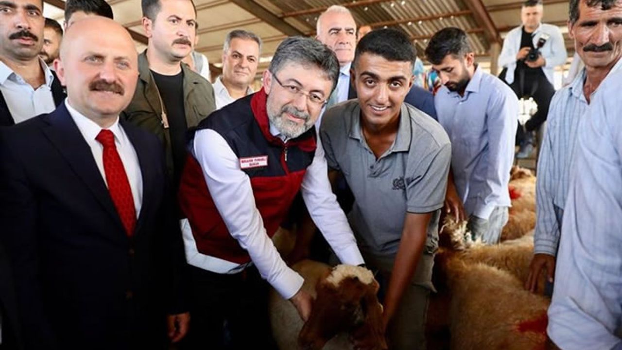 Küçükbaş ve kanatlı hayvan ile arı dağıtımı tamamlandı