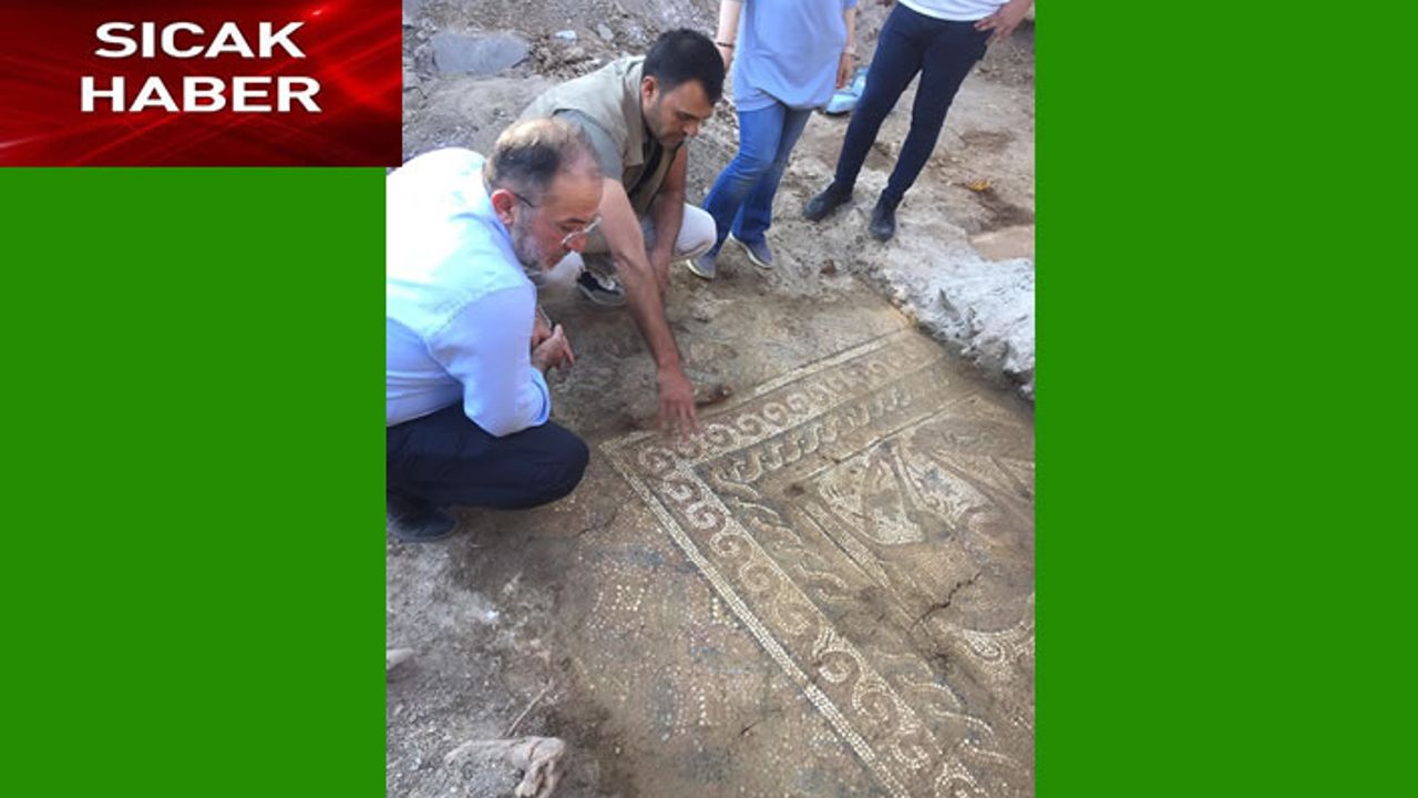 Efsus Turan Mozaik Kazısı'nda 1500 yıllık mozaik taban bulundu