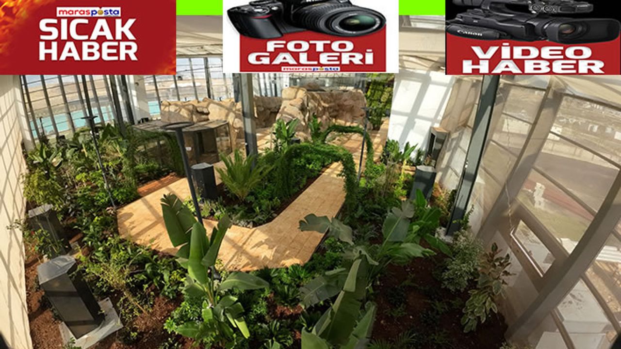EXPO 2023 Kelebek ve Uğur Böceği Bahçesi, Kahramanmaraş’ın yeni cazibe merkezi