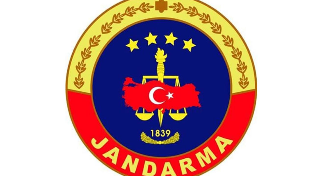 Silah Kaçakçılığı Operasyonunda 1 Zanlı Tutuklandı