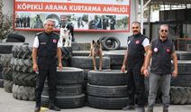 Ödüllü arama kurtarma köpekleri AFAD'ın sınavına hazırlanıyor
