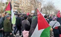 Filistin için eylem yapan ABD'li öğrencilere destek