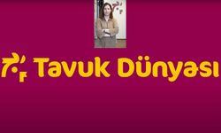 Tavuk Dünyası tekrardan en iyi işveren listelerinde