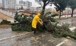 Fırtına ve Tipi Hayatı Olumsuz Etkiliyor