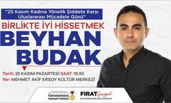 Psikolog Budak, Kadına Şiddetle Mücadeleyi Ele Alacak