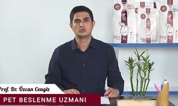 Hayvan mamalarında en kaliteli ürünler