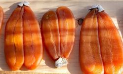 Bottarga Nedir, Nasıl Kullanılır?