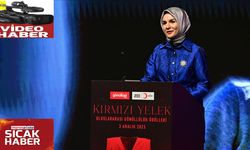 "Kırmızı Yelek Uluslararası Gönüllülük Ödülleri"