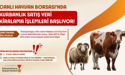 Canlı Hayvan Borsası’nda Kurban Satış Yerleri Kiralama İşlemi Başladı