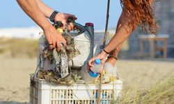 Doğayla Uyumlu Yaşamalıyız: Plastik Kirliliğine Son Ver, Yaşamı Koru!