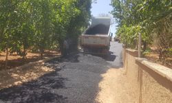 Dulkadiroğlu Ayaklıcaoluk’ta Asfalt Çalışması