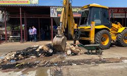 Büyükşehir, Şehri Hayvansal Atıklardan Temizliyor