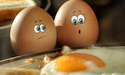 Yumurta hakkında herkesin bilmesi gereken en büyük mitler nelerdir?