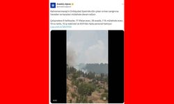 Kahramanmaraş'taki orman yangını sürüyor