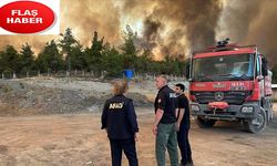 AFAD'dan yangınlara ilişkin açıklama