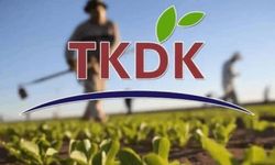81 İlde Girişimcilere 42 Milyon Avro Destek