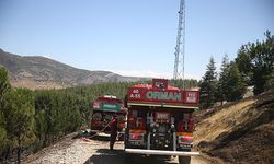 Türkoğlu’nda çıkan orman yangınına müdahale ediliyor