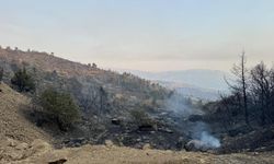 Orman Bölge Müdürlüğünden önemli açıklama