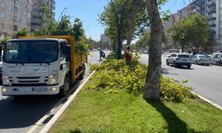Büyükşehir, Fırtınanın Oluşturduğu Hasarları Ortadan Kaldırıyor