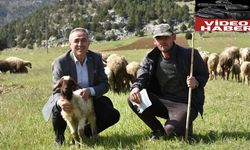 “Deprem Bölgesinde Hayvancılık Alarm Veriyor”