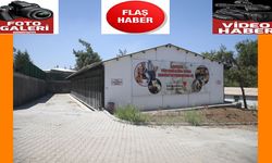 Kapıçam Bakımevi sokak hayvanlarına hem yuva hem şifa oluyor