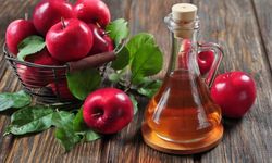 Hangi tür besinler sağlığa faydalıdır?