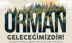 Ormanlarımızı Korumak Hepimizin Elimizde!