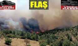 Göksun Kavşut’taki orman yangını kontrol altında
