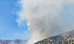 3 ilde orman yangınları kontrol altında, 4 ilde müdahale sürüyor