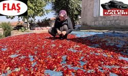 Damlarda kuruyan Cırgalan biberi sofralara lezzet katıyor