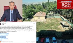 Ağaç Katliamı: 60-70 Yıllık Çamlar Bir Haftadır Kesiliyor!
