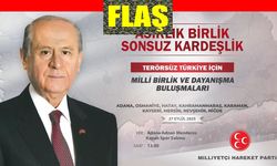 MHP Terörsüz Türkiye İçin Milli Birlik ve Dayanışma Buluşmaları yapıyor