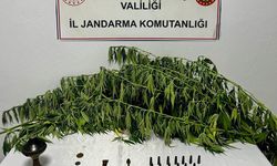 PKK'ya Ait Yaşam Malzemeleri Ele Geçirildi