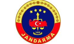 Silah kaçakçılığı operasyonunda yakalanan 2 zanlı tutuklandı