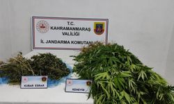 Çeşitli Suçlardan Aranan 14 Şüpheli Tutuklandı