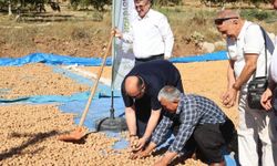 Coğrafi Tescilli Ceviz İhracatı Başladı