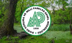 Doğa Koruma ve Milli Parklar 240 Personel Alımı Yapacak!