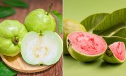 Kırmızı Guava ve Beyaz Guava: Hangisi Daha İyi?