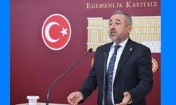 “Milyonlarca Balık Öldü: Karatutlu’dan Meclis’in İlk Gününde Çifte Soru Önergesi”
