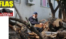 Doğadan topladığı ağaç dallarını 69 yıldır kaşığa dönüştürüyor