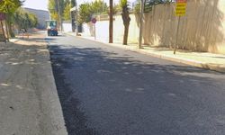 Büyükşehir, Yolları Bir Bir Sıcak Asfaltla Buluşturuyor