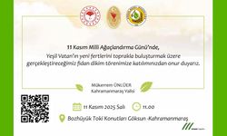 11 Kasım Milli Ağaçlandırma Günü: Yeşil Vatan’a Yeni Nefesler