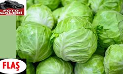 Sağlığınız için hangi besinler faydalıdır?