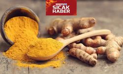 Zerdeçal Nedir, Faydaları Nelerdir?