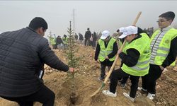 10 bin 444 fidan toprakla buluşturuldu